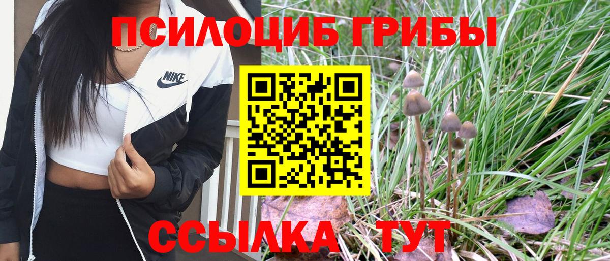 Новосибирск  Псилоцибиновые грибы Psilocybe  Вход с VPN  Галлюциногенные грибы прущие грибы 